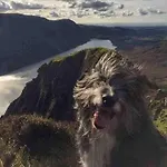 Evas Near Scafell * Gosforth (Cumbria)