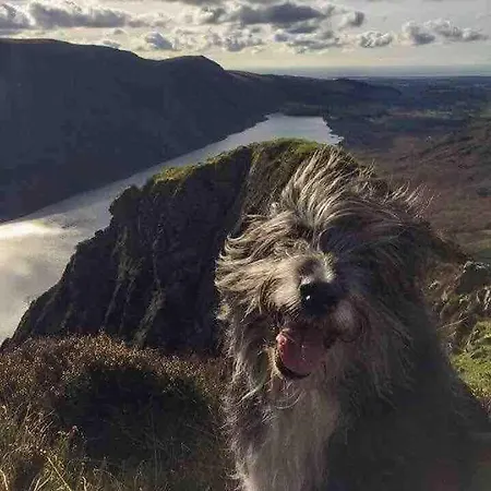 Evas Near Scafell * Gosforth (Cumbria)