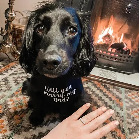 Evas Near Scafell * Gosforth (Cumbria)