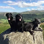 Evas Near Scafell Nyaraló Gosforth